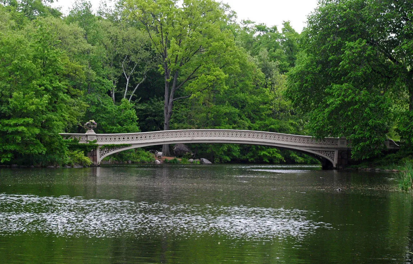 Фото обои Нью Йорк, Bridge, New York, Центральный парк, Мостик, Central park