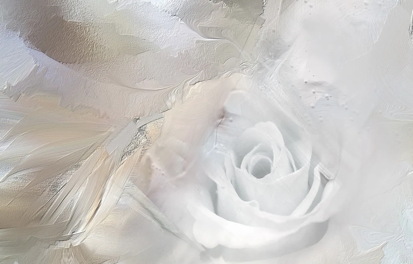Фото обои абстракция, цвет, Ice Rose