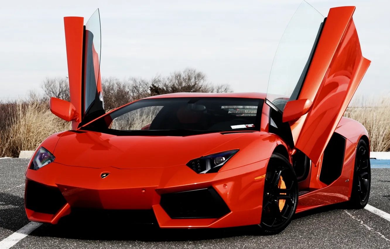 Фото обои оранжевый, Lamborghini, двери, суперкар, передок, Ламборгини, LP700-4, Aventador