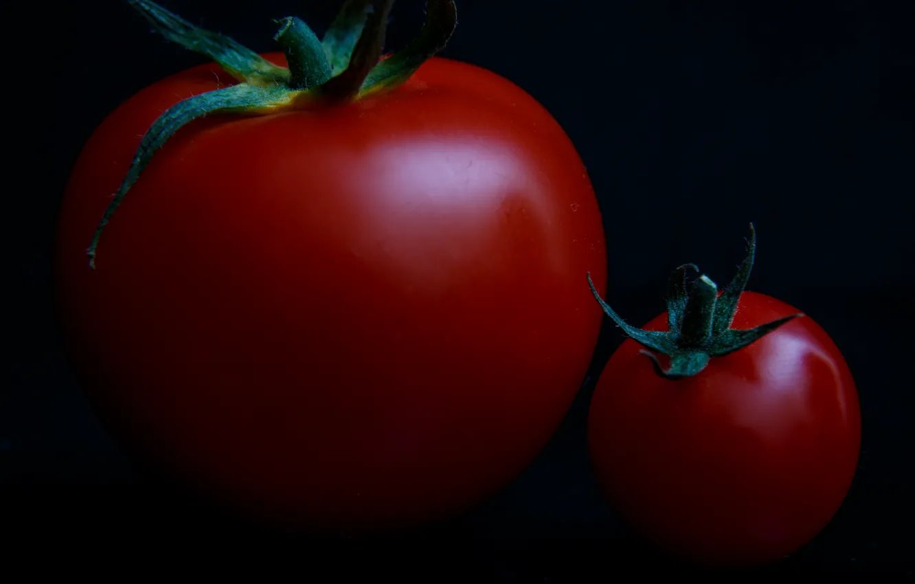 Фото обои макро, маленький, большой, помидоры