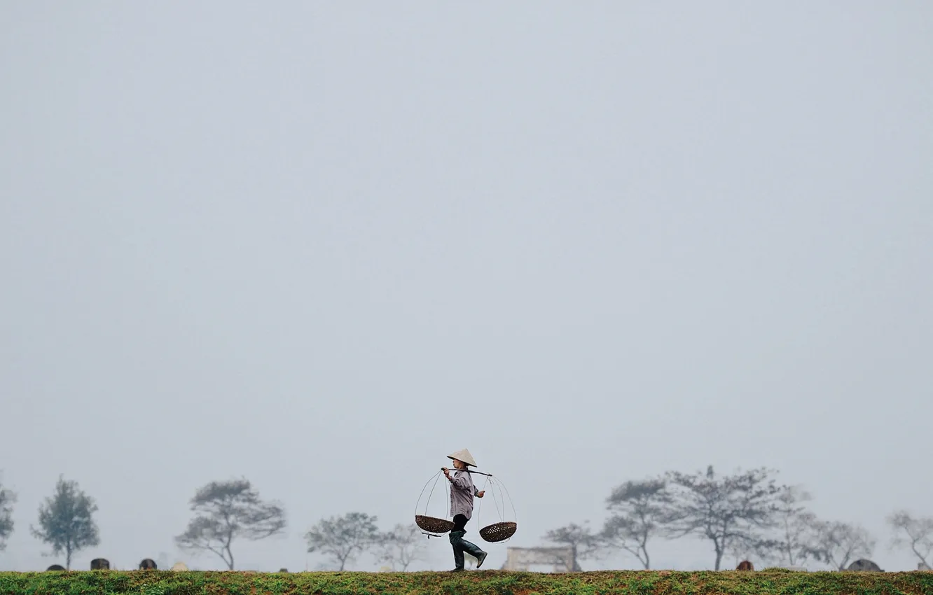 Фото обои поле, деревья, человек, корзины, серые облака