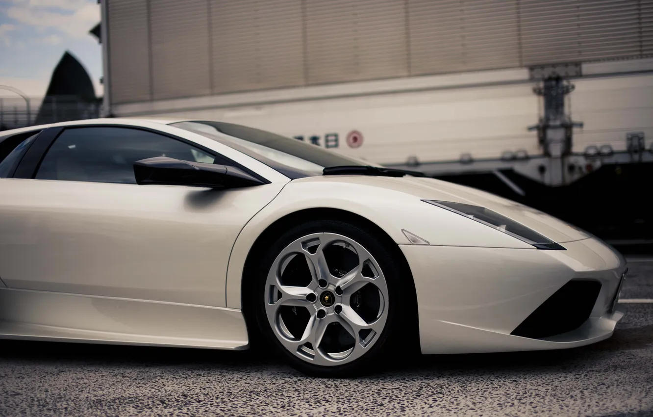 Фото обои белый, Lamborghini, white, ламборджини, Murcielago, ламборгини, LP640, мурселаго
