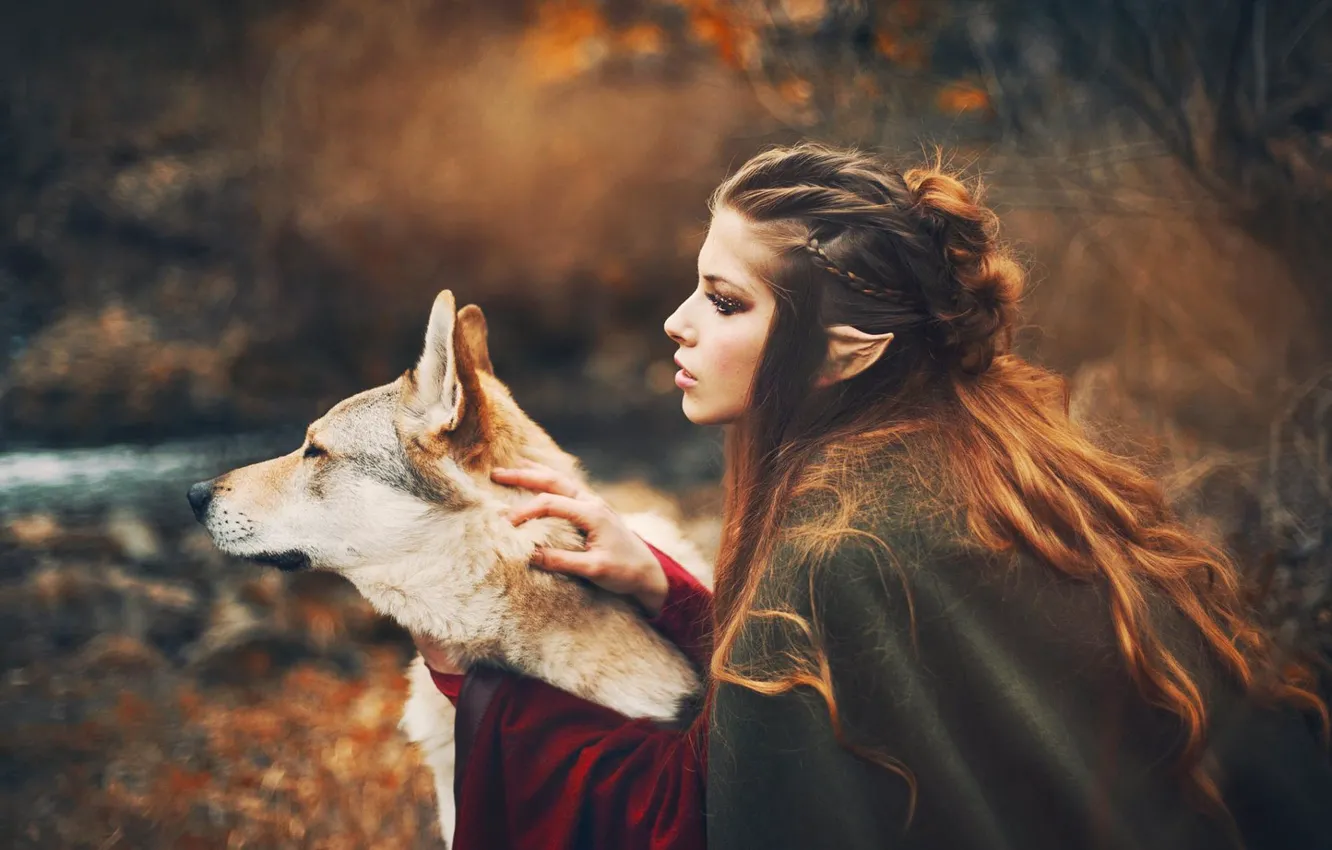 Фото обои осень, девушка, стиль, волк, собака, фэнтези, эльфийка, Marketa Novak