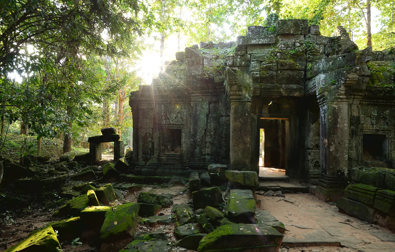 Фото обои солнце, деревья, камни, руины, архитектура, Камбоджа, Ангкор-Ват