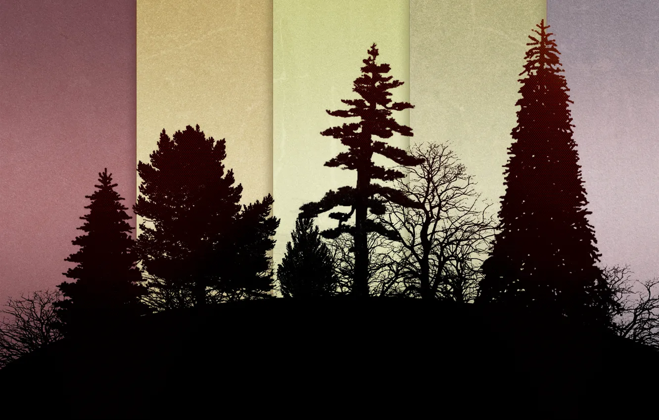 Фото обои лес, елка, кусты, Николай Черных