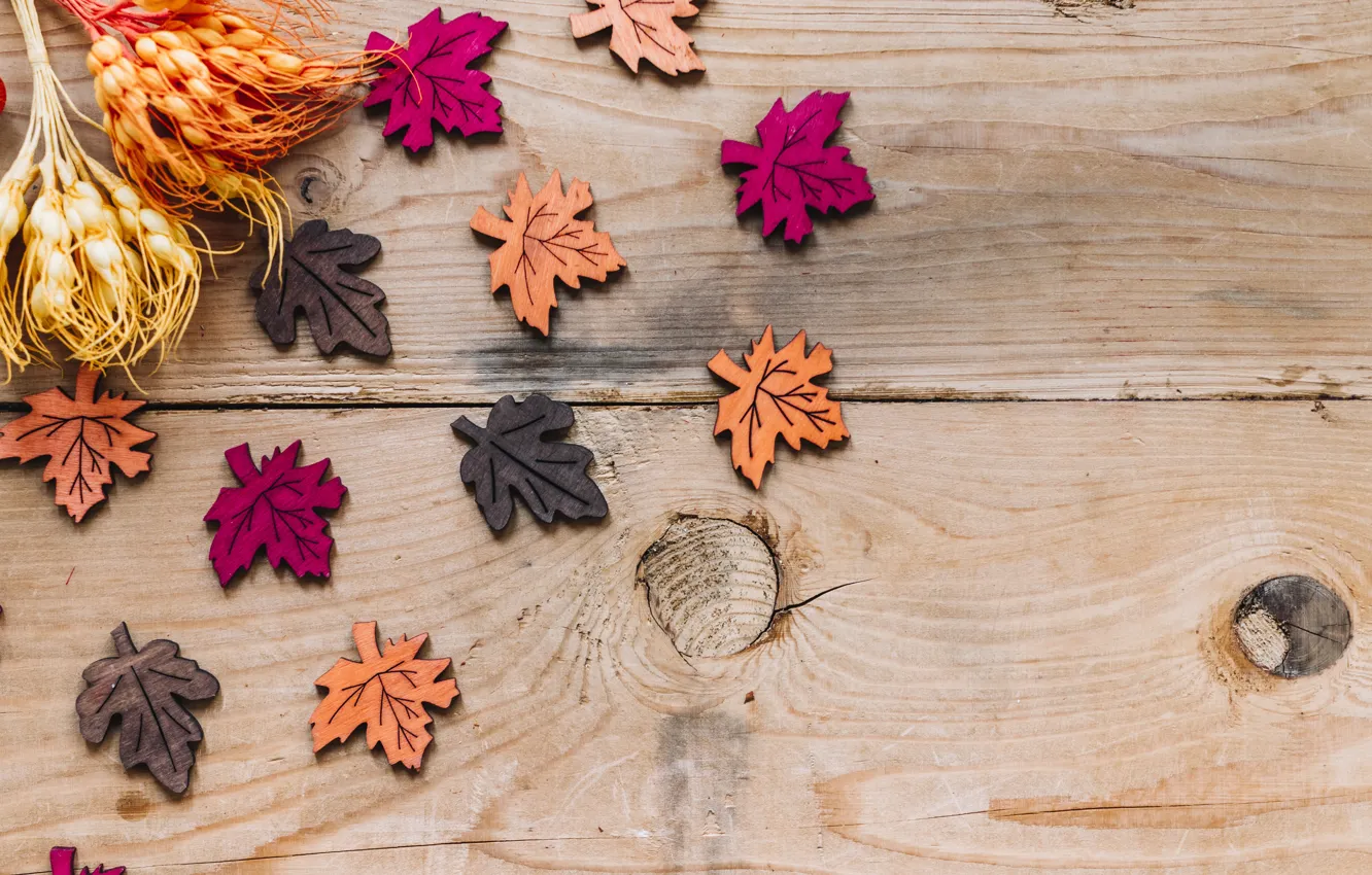 Фото обои осень, листья, фон, дерево, colorful, wood, background, autumn