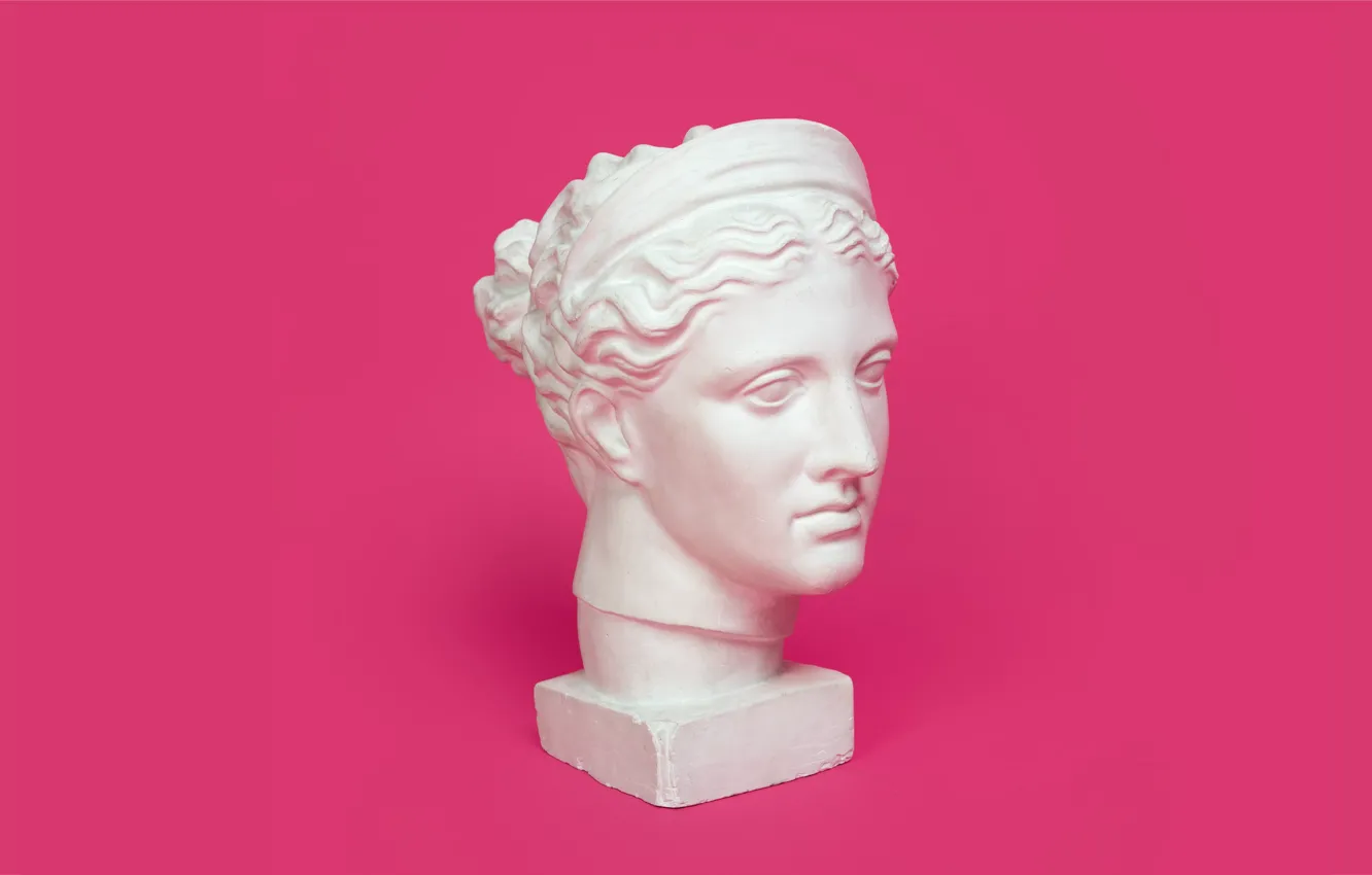 Фото обои голова, скульптура, розовый фон, гипс, слепок, гипсовая голова, голова Дианы