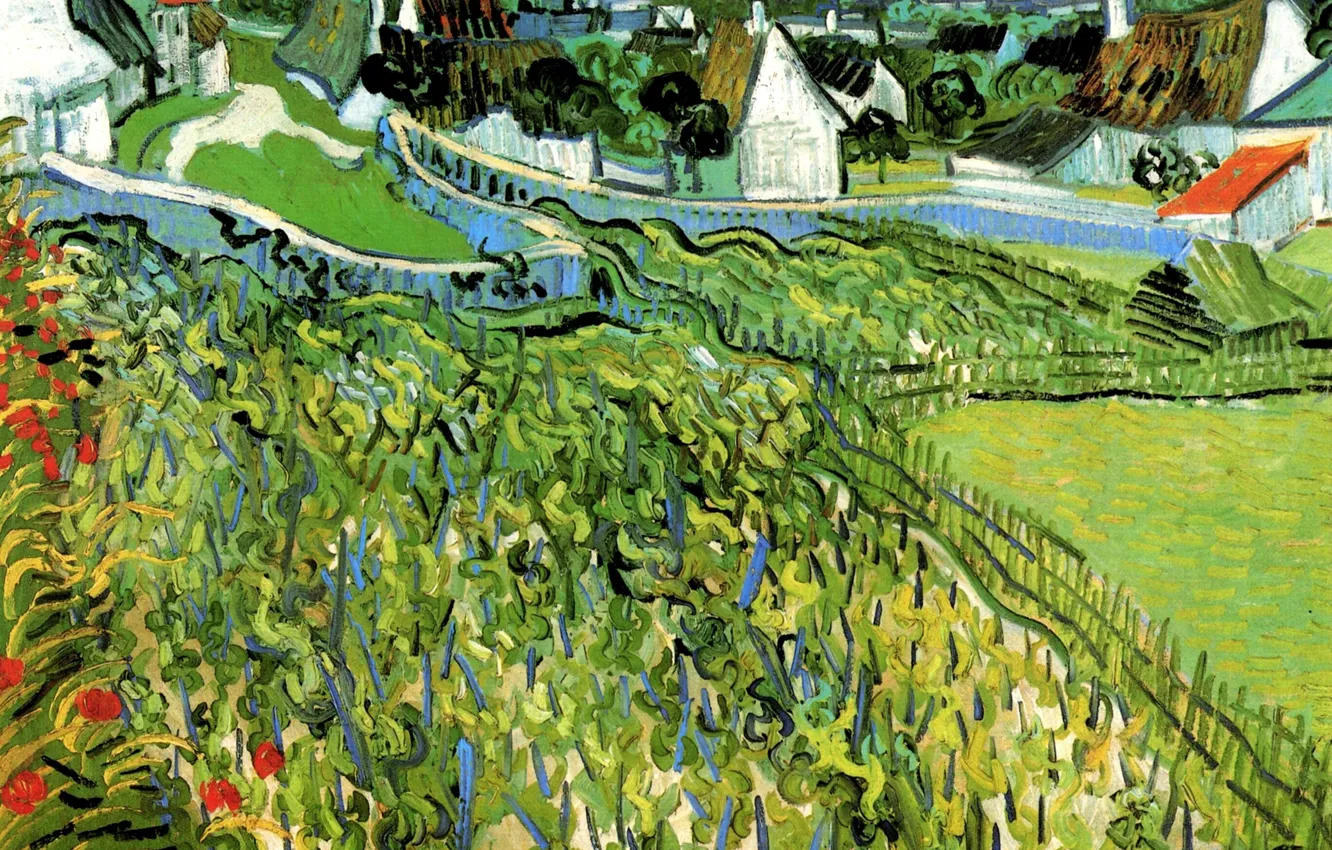 Фото обои Винсент ван Гог, a View of Auvers, Vineyards with