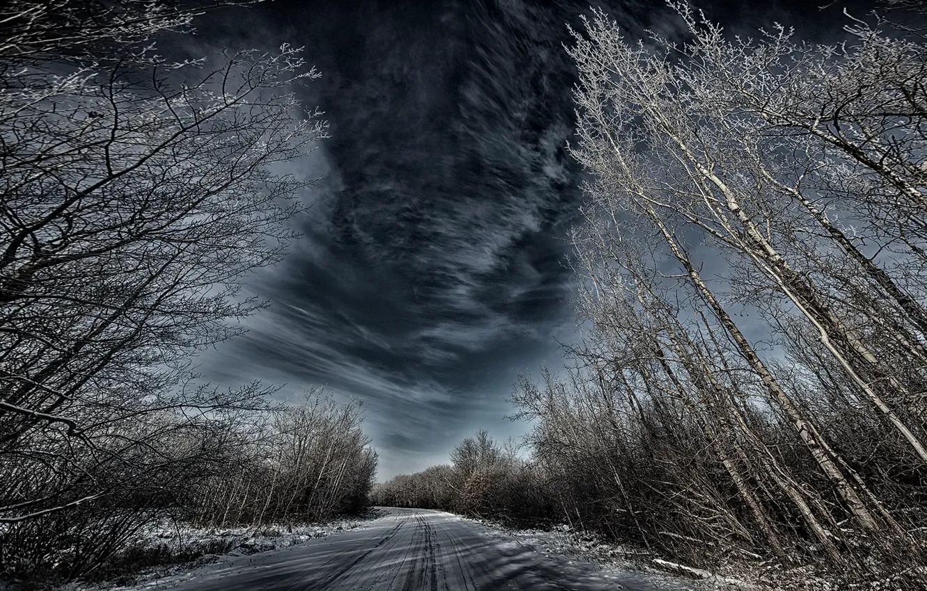 Фото обои зима, дорога, лес, небо