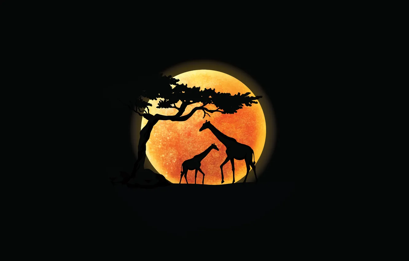 Фото обои Sunset, Minimal, Silhouette, Minimalist, Giraffe, Black Background