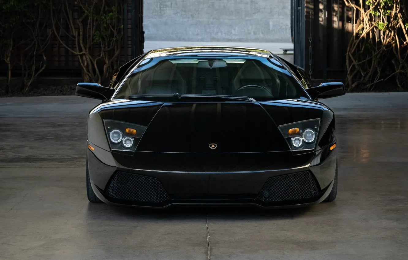 Фото обои Lamborghini, Murcielago, front view, Lamborghini Murcielago LP640