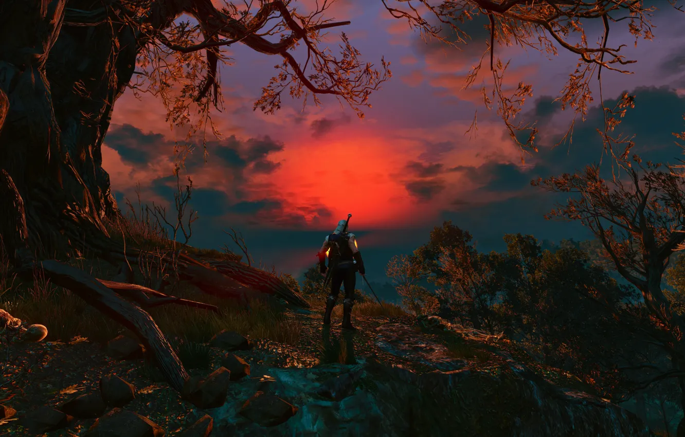 Фото обои лес, Меч, Воин, Броня, Ведьмак, The Witcher, Геральт, красный закат