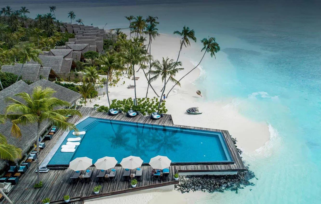 Фото обои пляж, пальмы, океан, остров, бассейн, сверху, курорт, Maldives