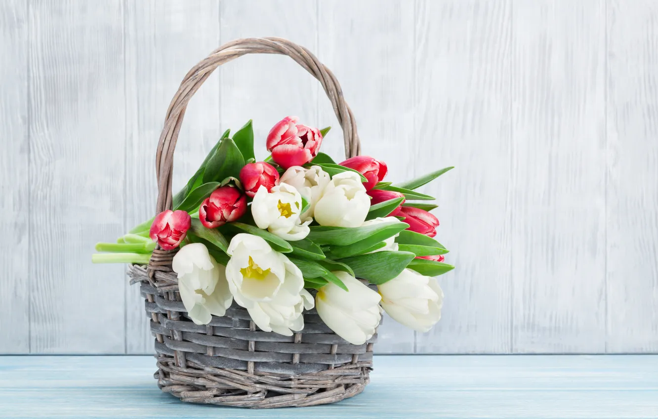 Фото обои цветы, букет, тюльпаны, red, white, wood, flowers, tulips