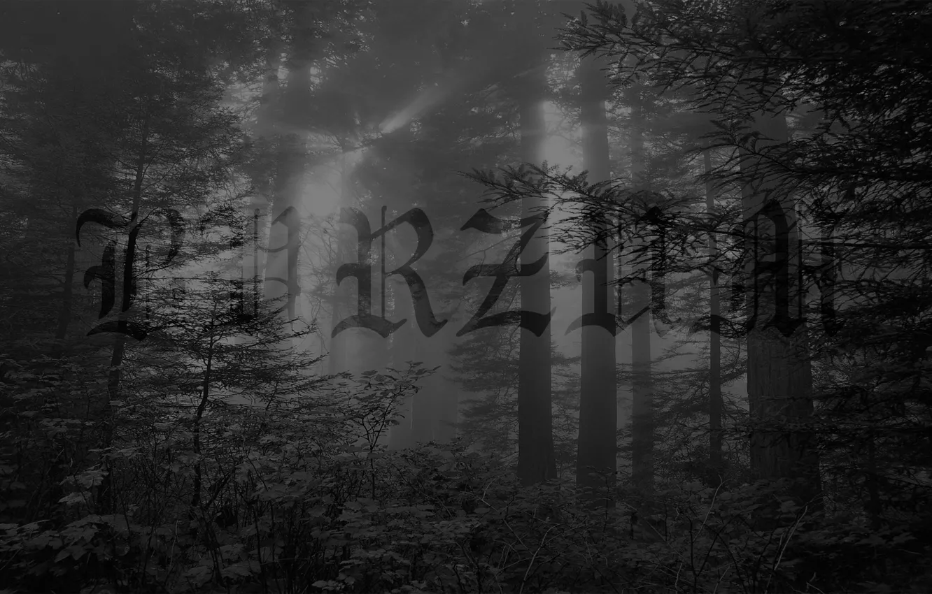 Фото обои Metal, Black Metal, Ambient, Burzum