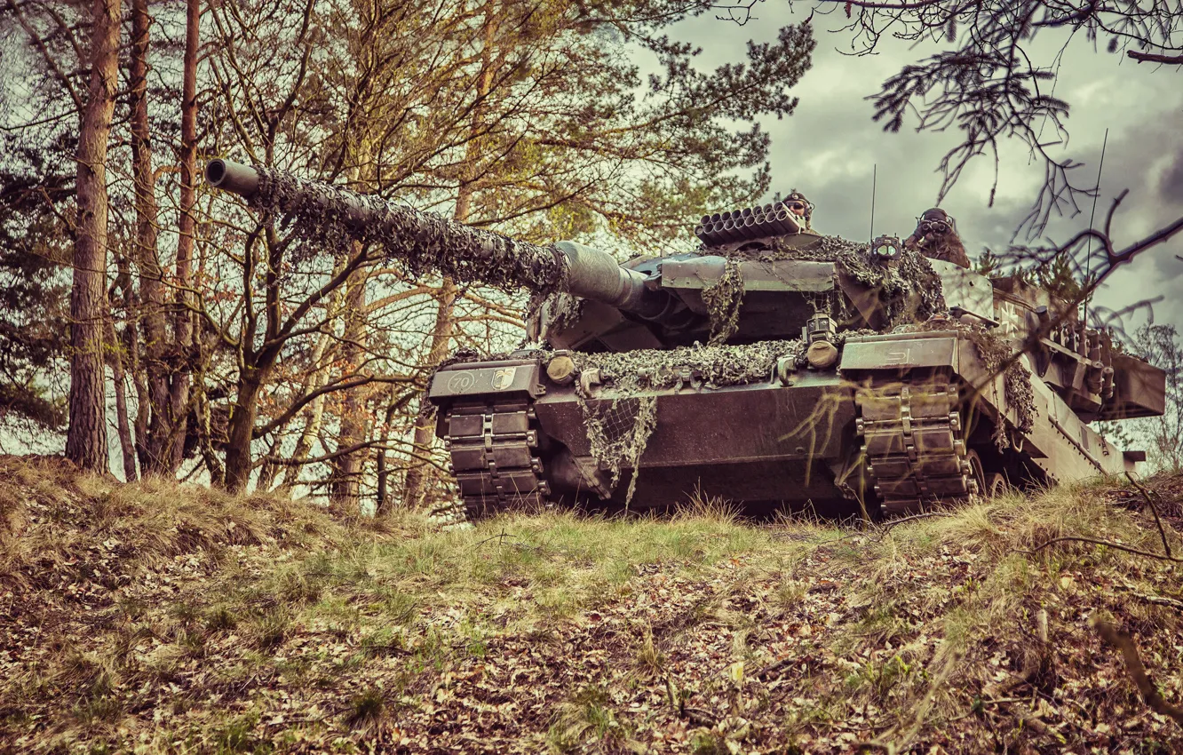 Фото обои лес, танк, боевой, Leopard 2A6M