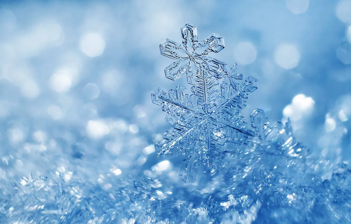 Фото обои зима, свет, снег, снежинки, лёд, льдинки, Рождество, прозрачные