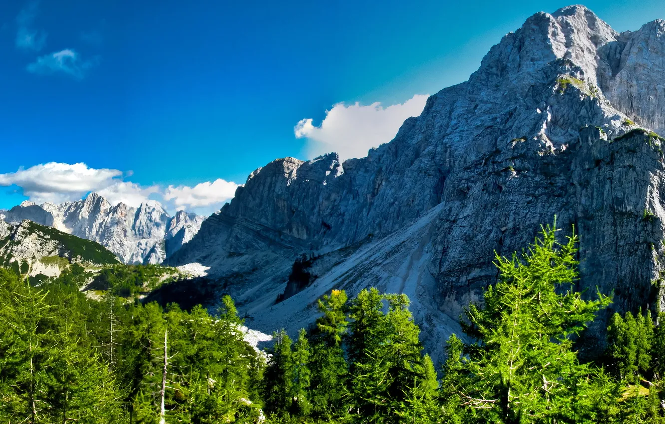 Фото обои деревья, скалы, гора, Словения, Краньска