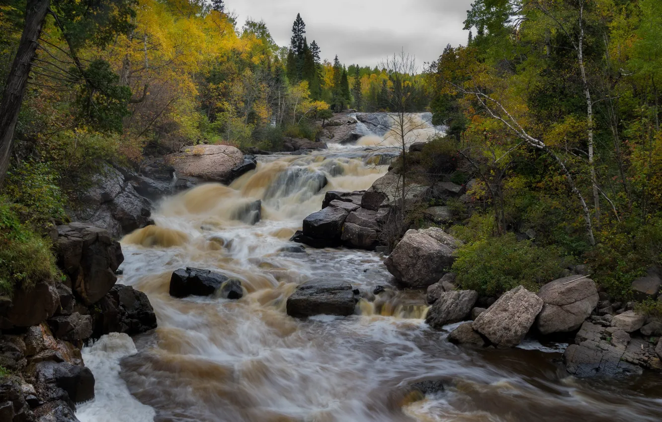 Фото обои осень, лес, река