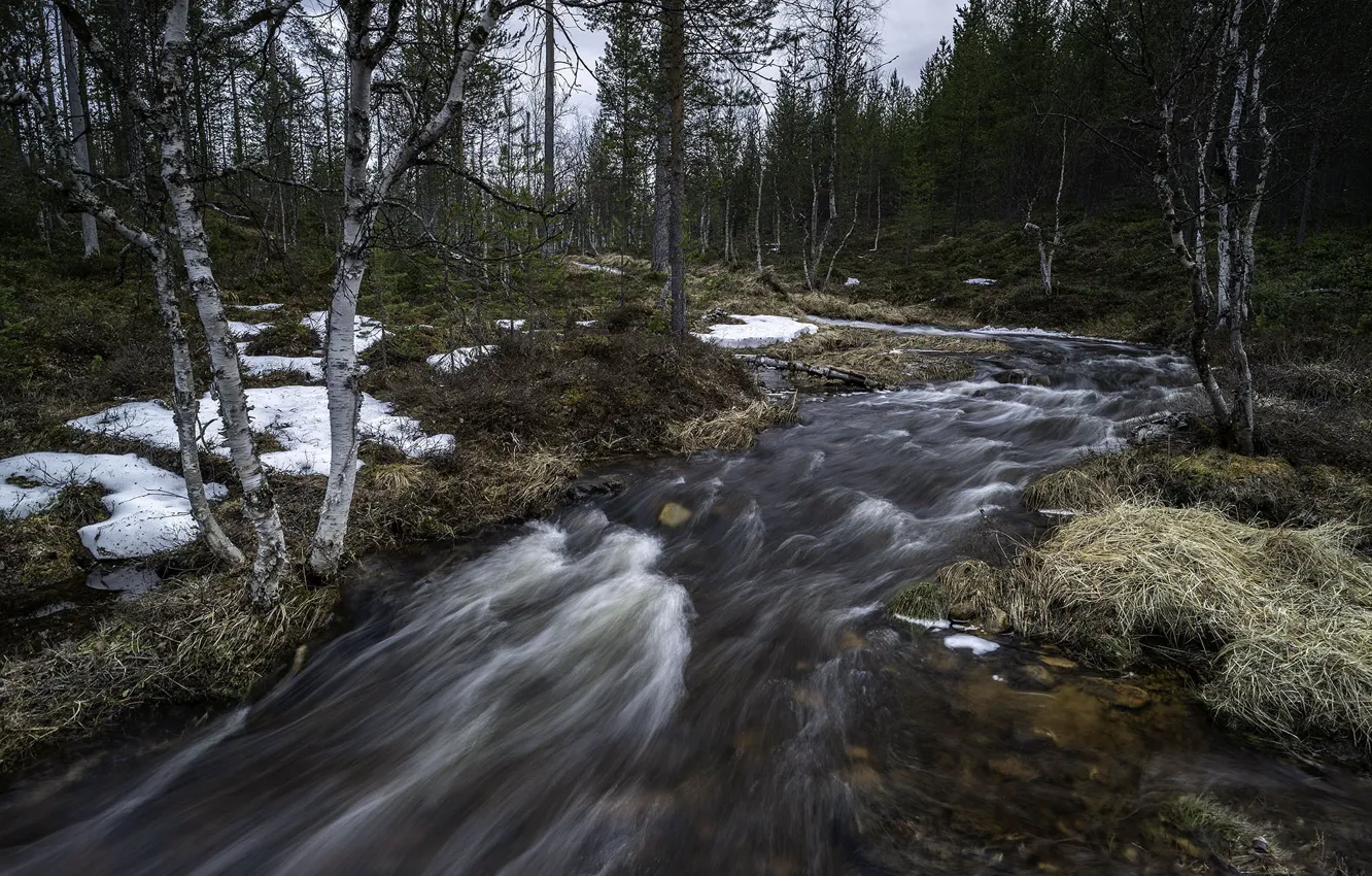 Фото обои природа, река, Lapland, Spring time