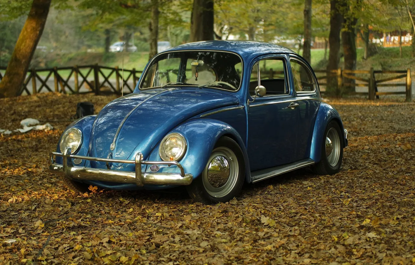 Фото обои car, Volkswagen, vintage, blue