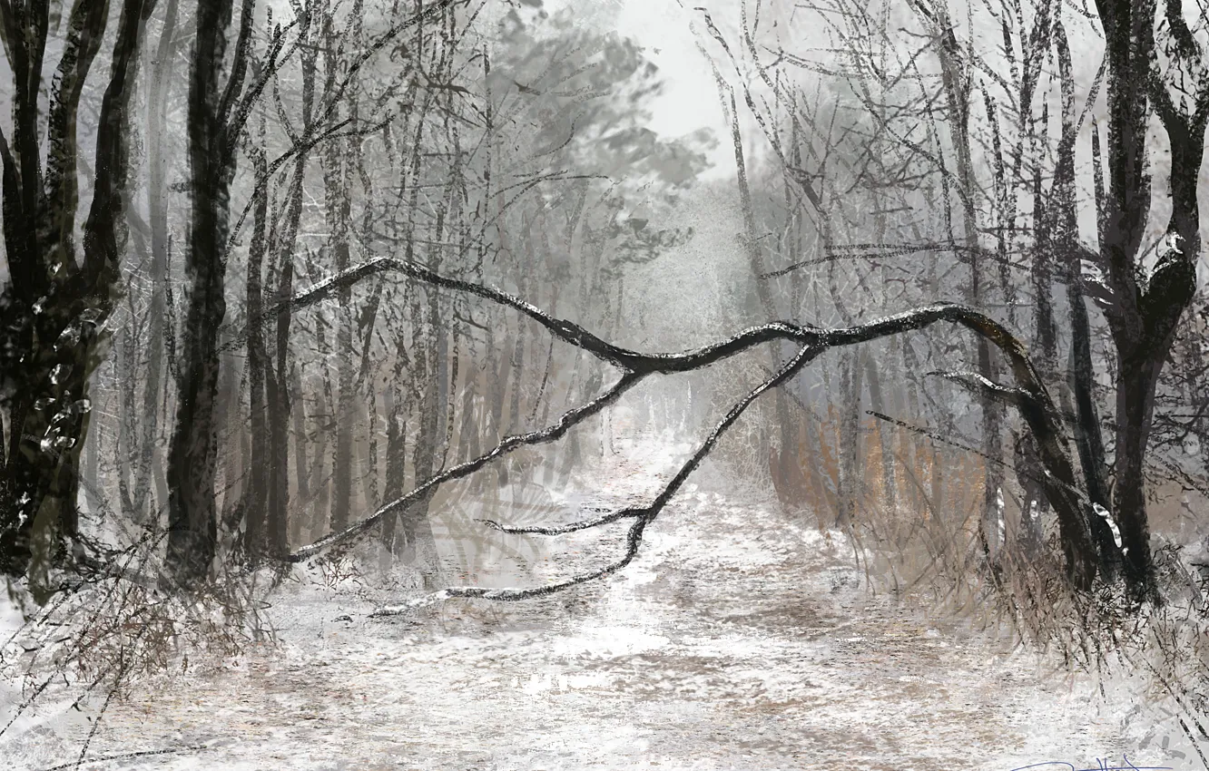 Фото обои зима, лес, арт, winter
