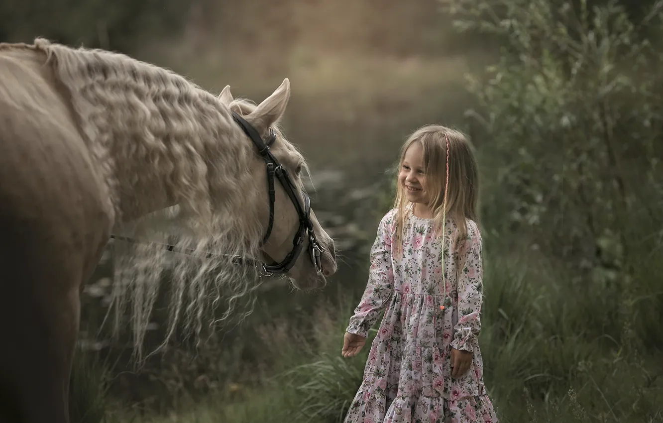 Фото обои лето, конь, девочка