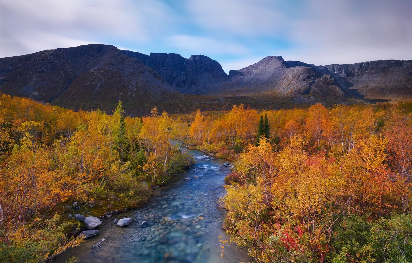 Фото обои осень, пейзаж, горы, природа, река, растительность, Хибины, Константин Воронов