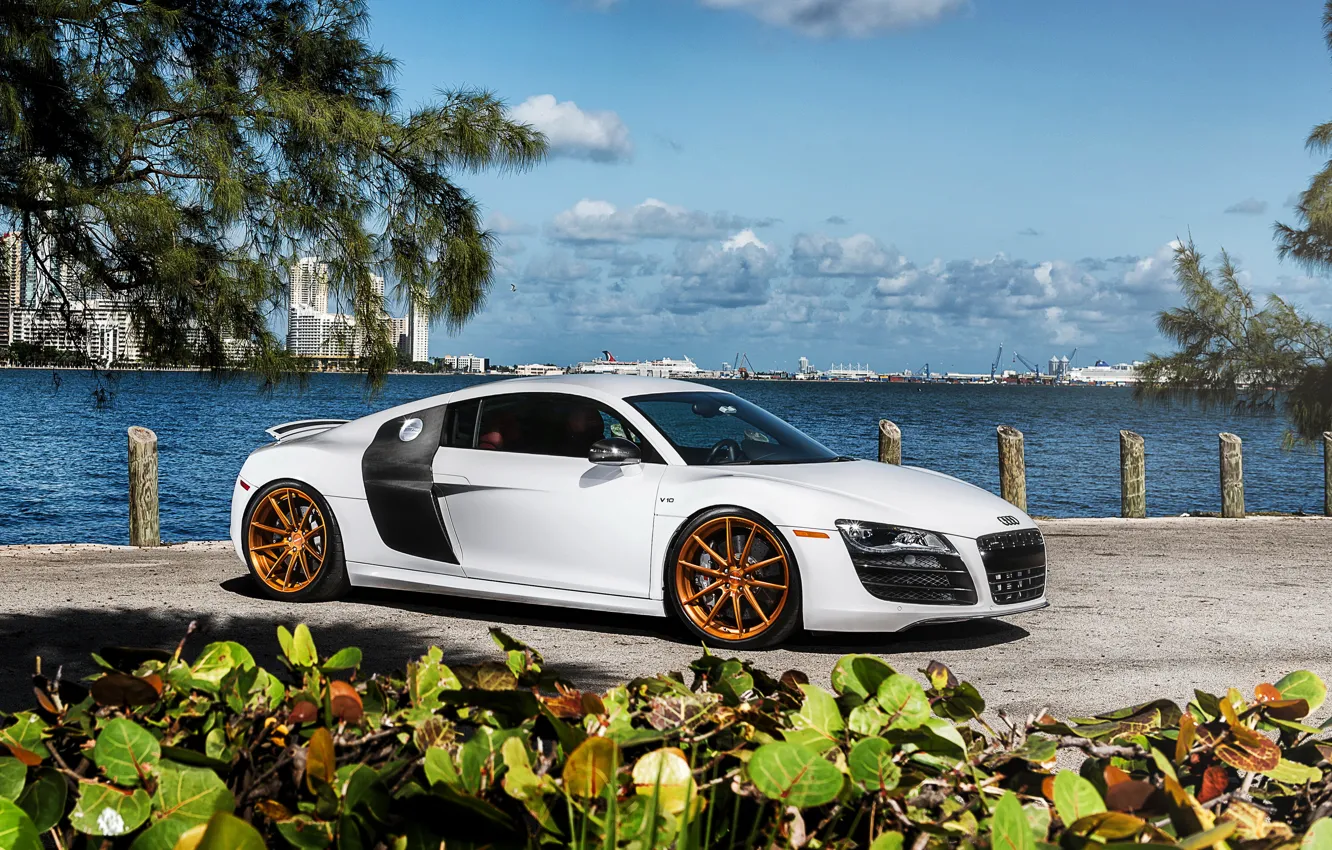 Фото обои car, ауди, audi r8, автообои, hq wallpaper