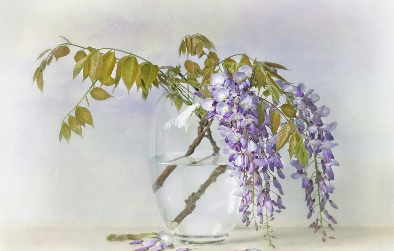 Фото обои листья, вода, цветы, ветки, прозрачный, букет, лепестки, арт