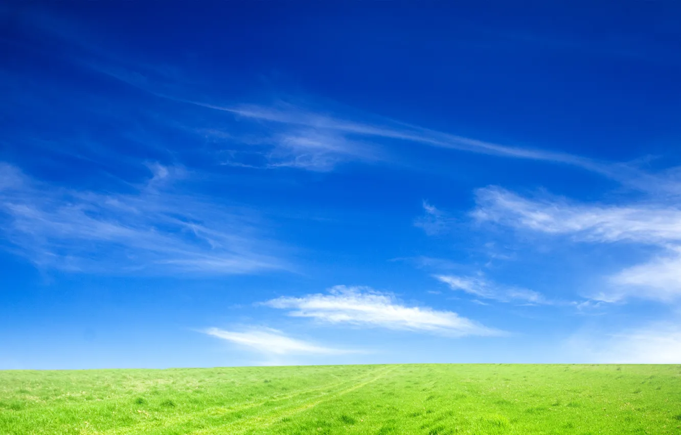 Фото обои поле, небо, трава, природа, пейзажи