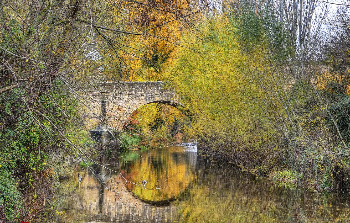 Фото обои осень, деревья, мост, парк, арка, Испания, Сеговия