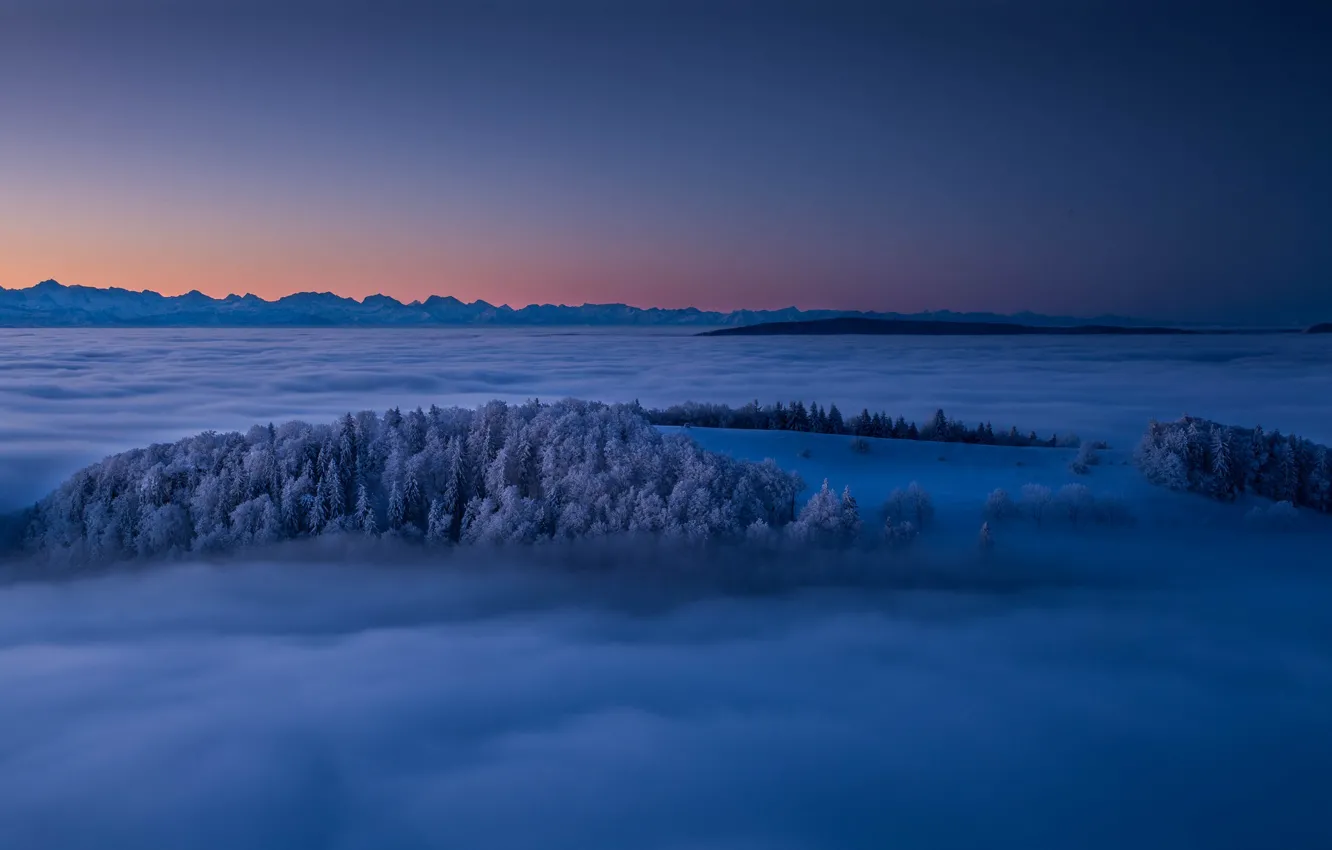 Фото обои зима, деревья, горы, туман, восход, рассвет, Швейцария, Switzerland