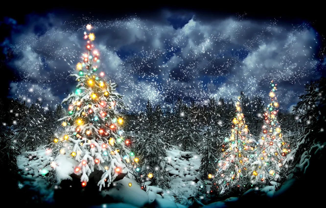 Фото обои зима, лес, снег, елка, Новый год, гирлянда, Christmas, winter