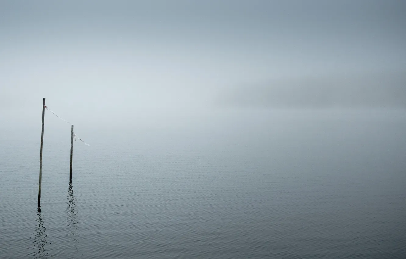 Фото обои туман, озеро, минимализм