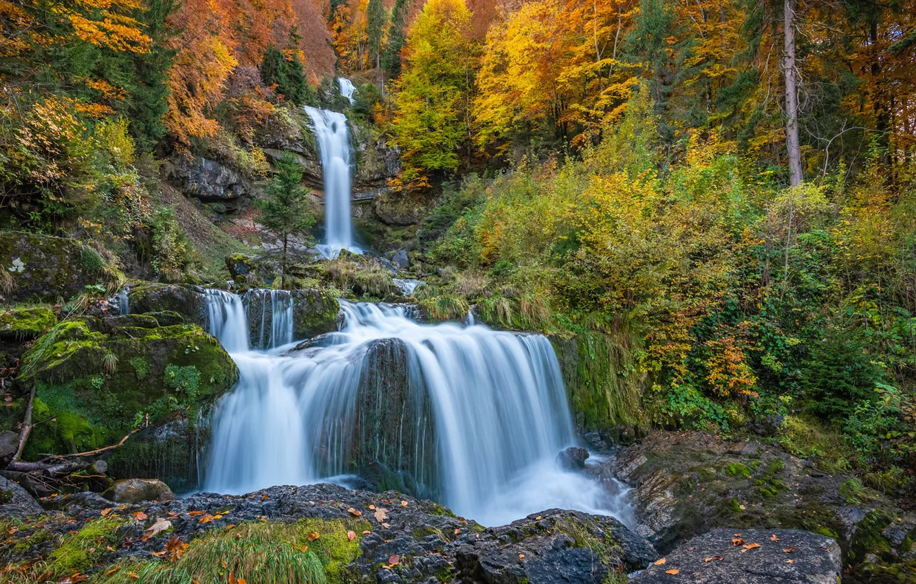 Фото обои осень, лес, скала, водопад, Швейцария, каскад, Switzerland, Водопад Гиссбах