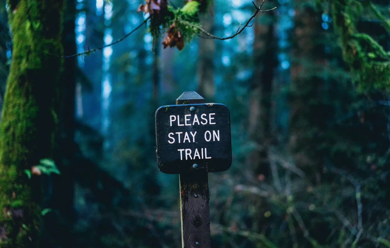 Фото обои plate, nature, sign, forests, macro, blur, bokeh, inscription