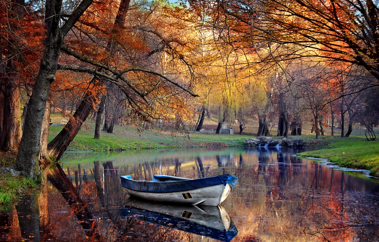 Фото обои деревья, пруд, парк, лодка