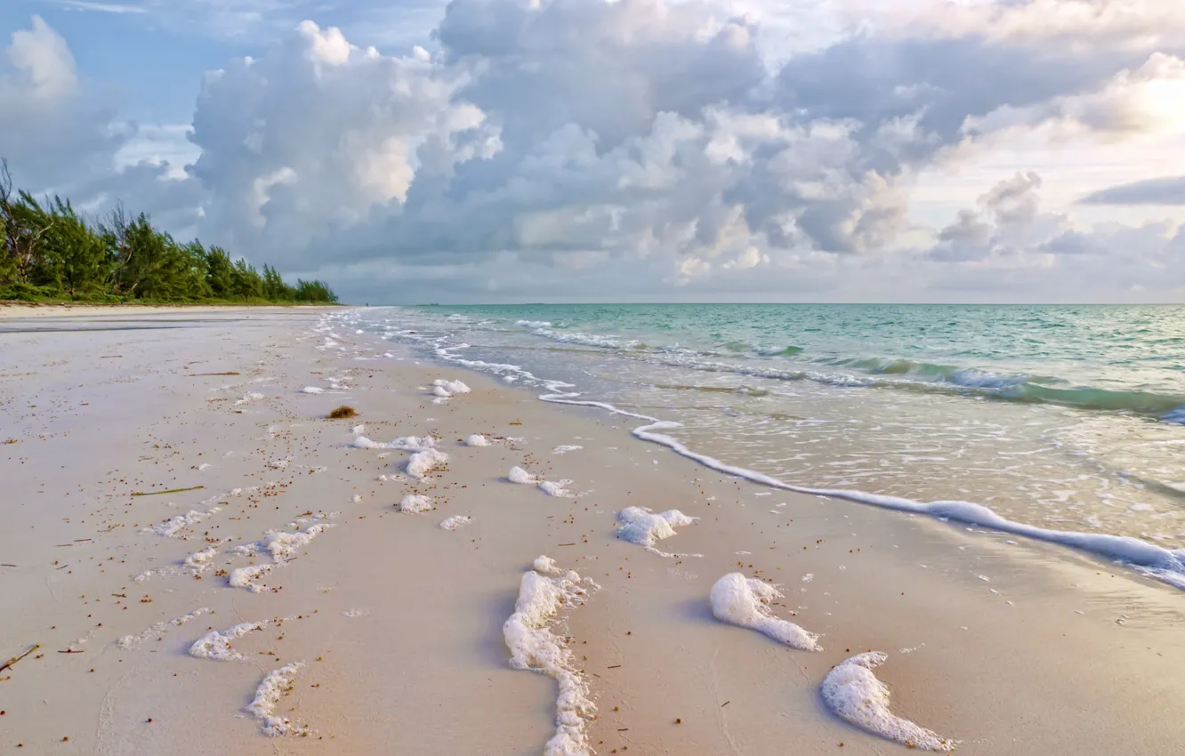 Фото обои песок, море, зелень, пена, облака, природа, побережье, прибой