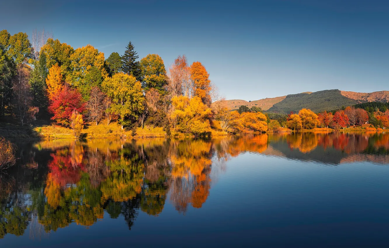 Фото обои осень, лес, деревья, озеро, отражение, Новая Зеландия, New Zealand, Lake Tutira
