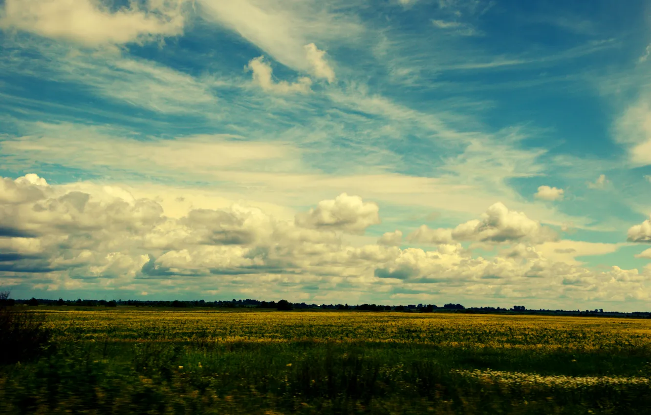 Фото обои Россия, forest, Sky, Russia