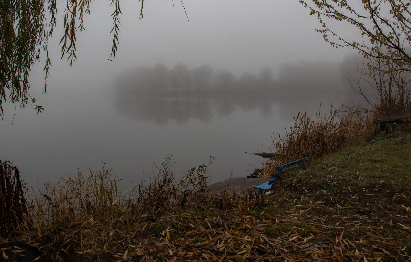 Фото обои Туман, Осень, Река