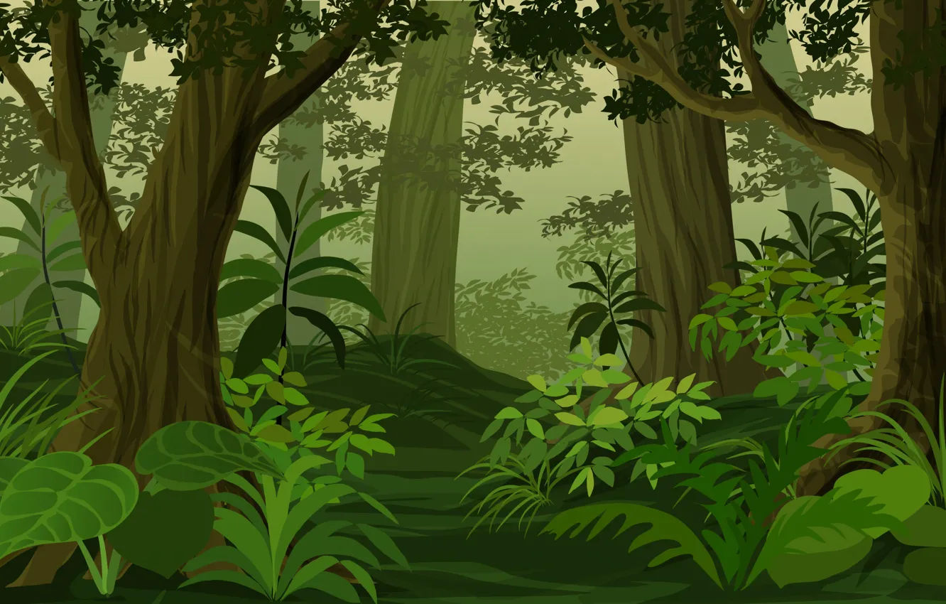 Фото обои Природа, Лес, Фон, Джунгли, Jungle, Nature, Background, Forest