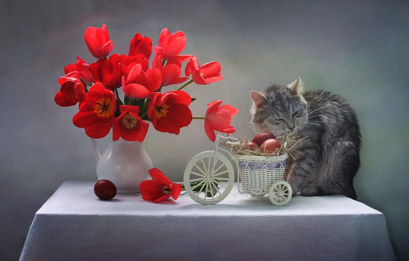 Фото обои кот, цветы, стол, животное, праздник, яйца, Пасха, тюльпаны