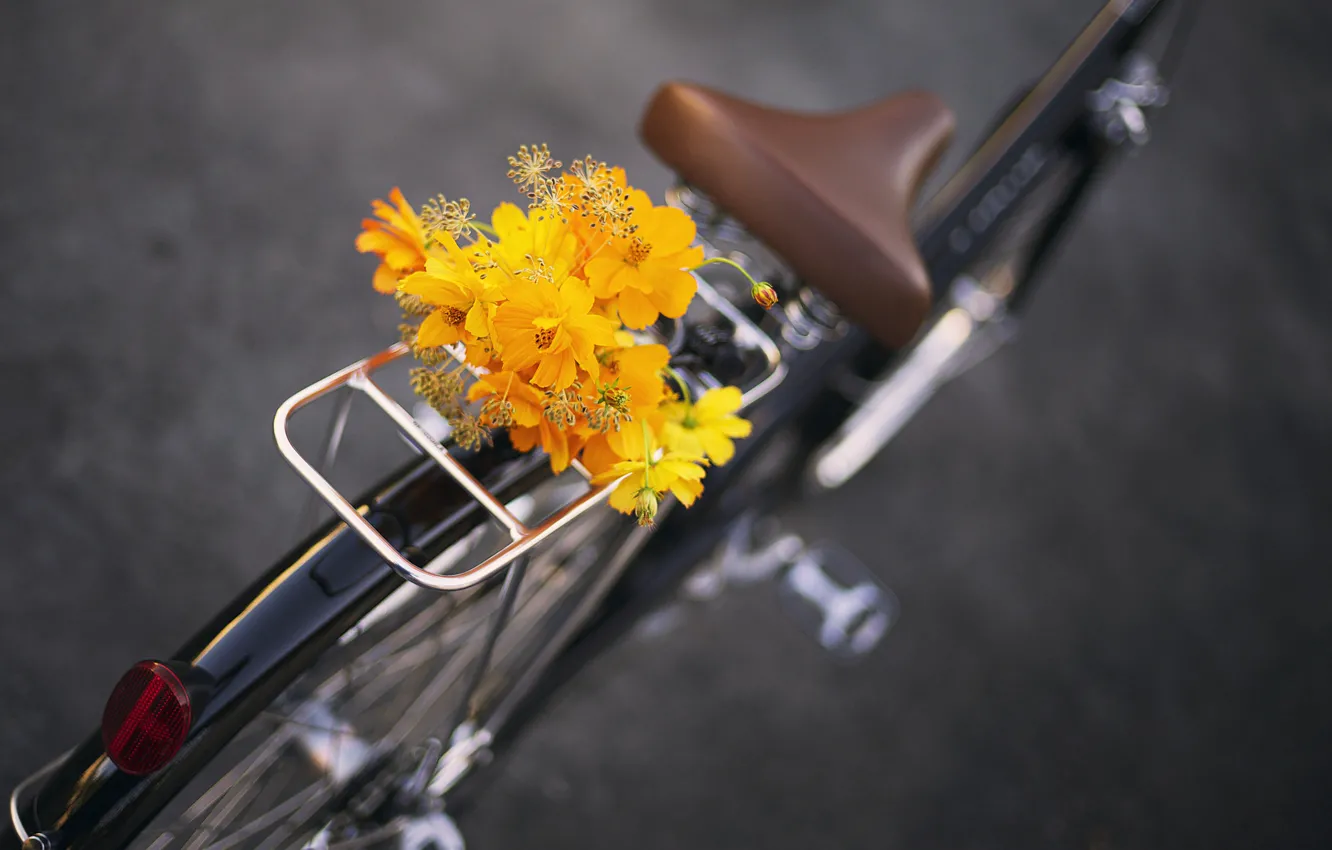 Фото обои цветы, велосипед, букет, bike, flowers, bouquet