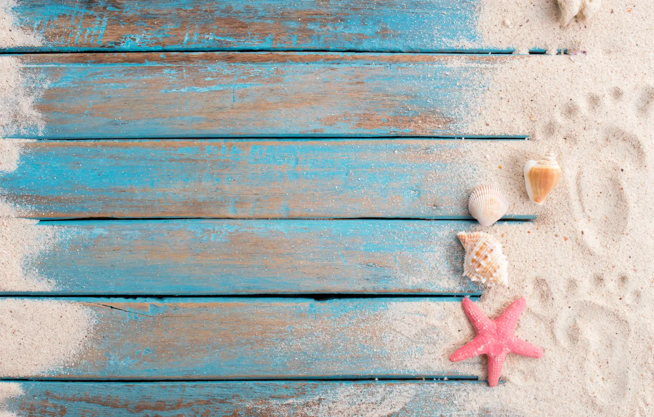Фото обои песок, пляж, звезда, ракушки, summer, beach, wood, sand