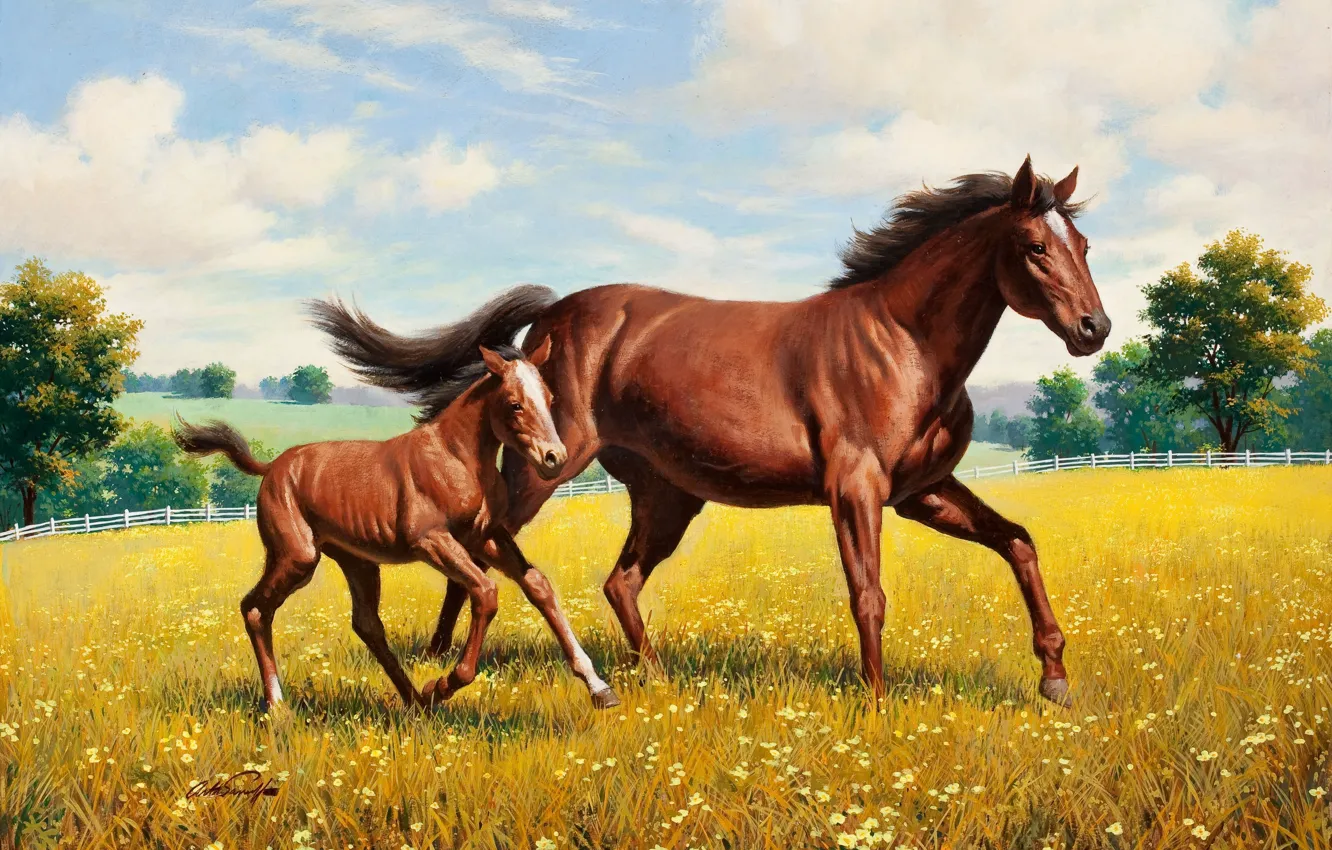Фото обои лошадь, луг, живопись, Arthur Saron Sarnoff, жеребёнок