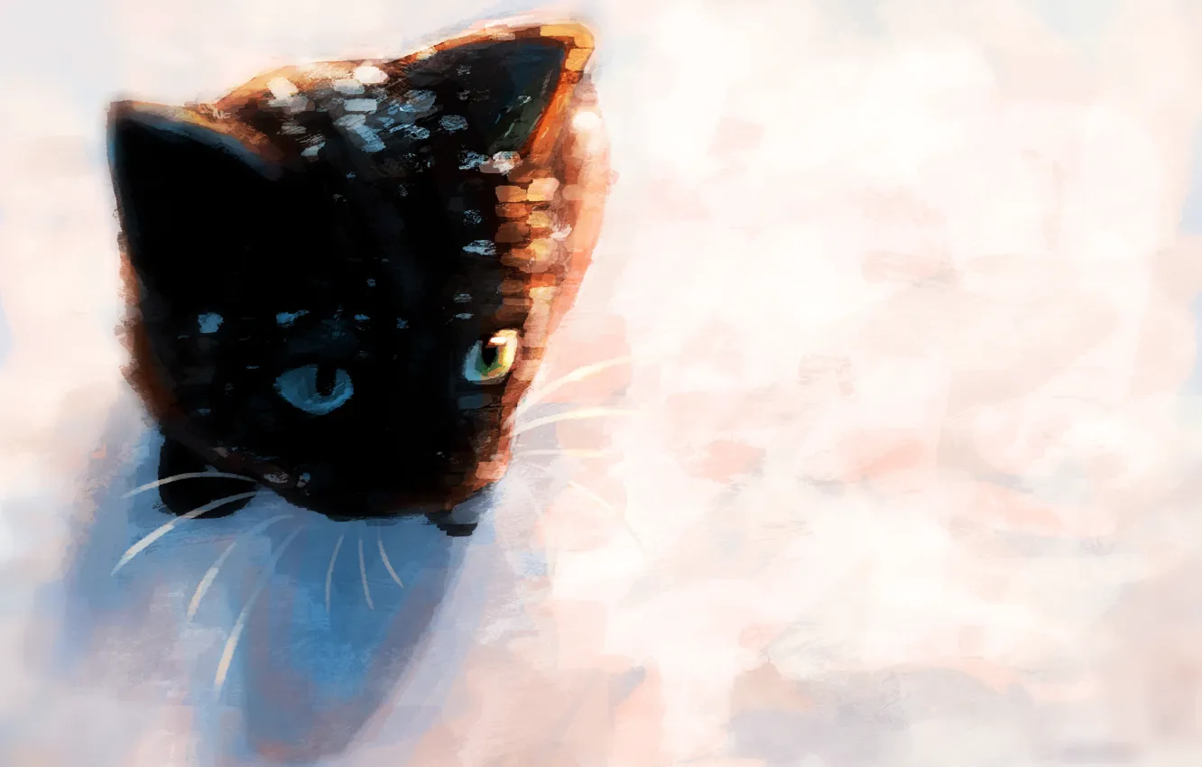 Фото обои снег, котенок, by Meorow