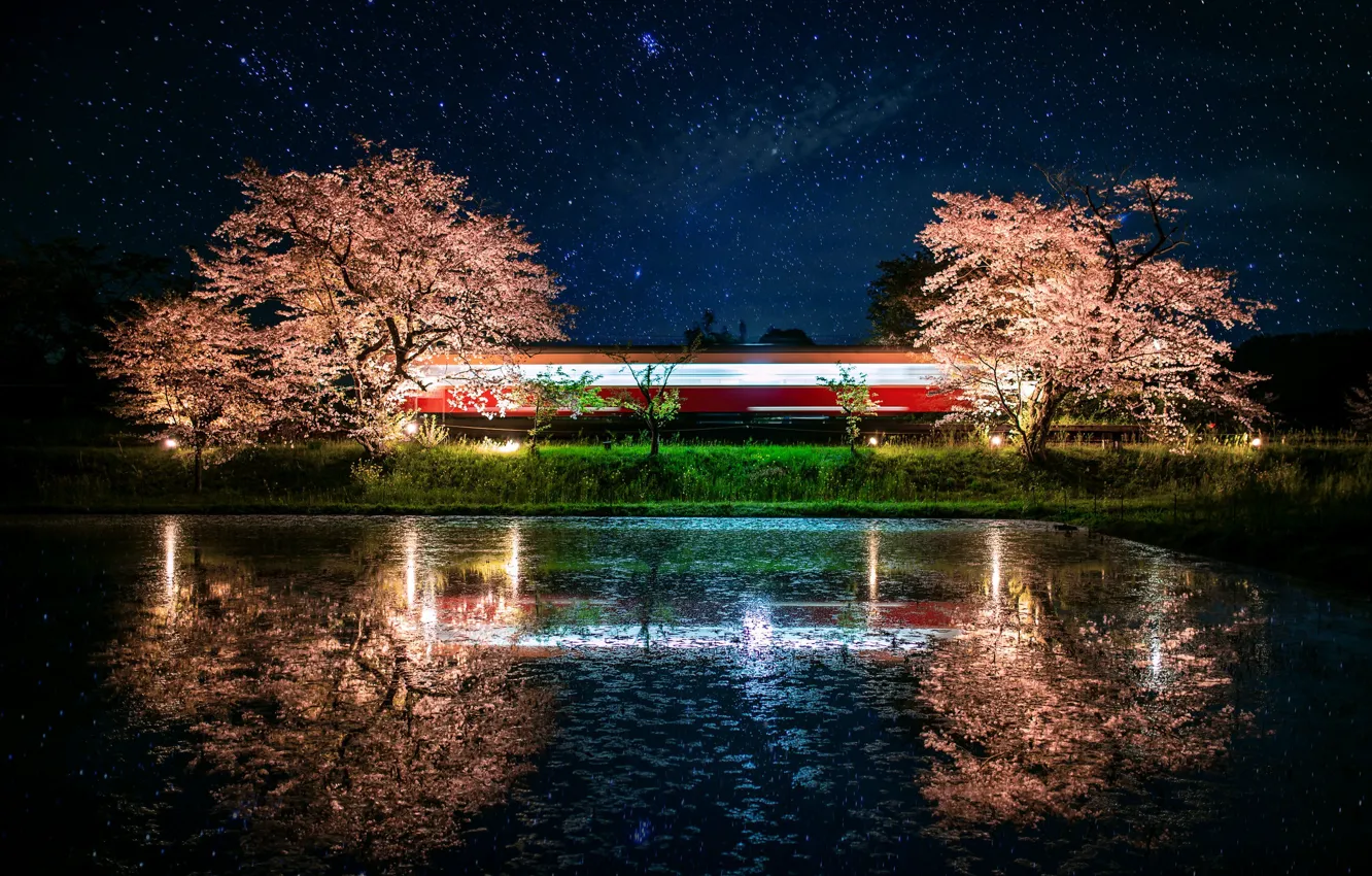 Фото обои звезды, деревья, ночь, озеро, отражение, сакура, цветение