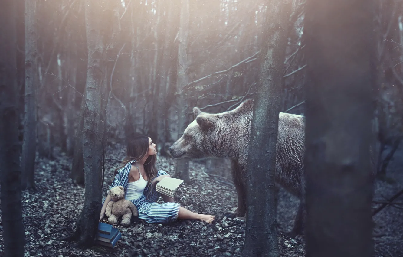 Фото обои лес, девушка, книги, медведь, мишка